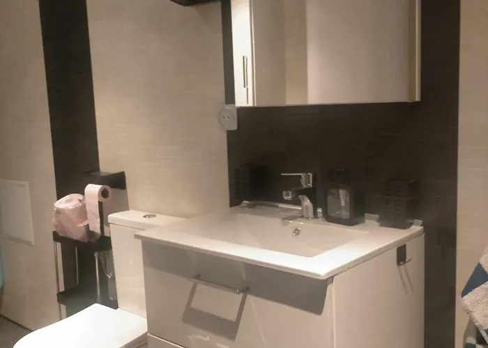 Apartment T2 Meuble Situe A 54970 *